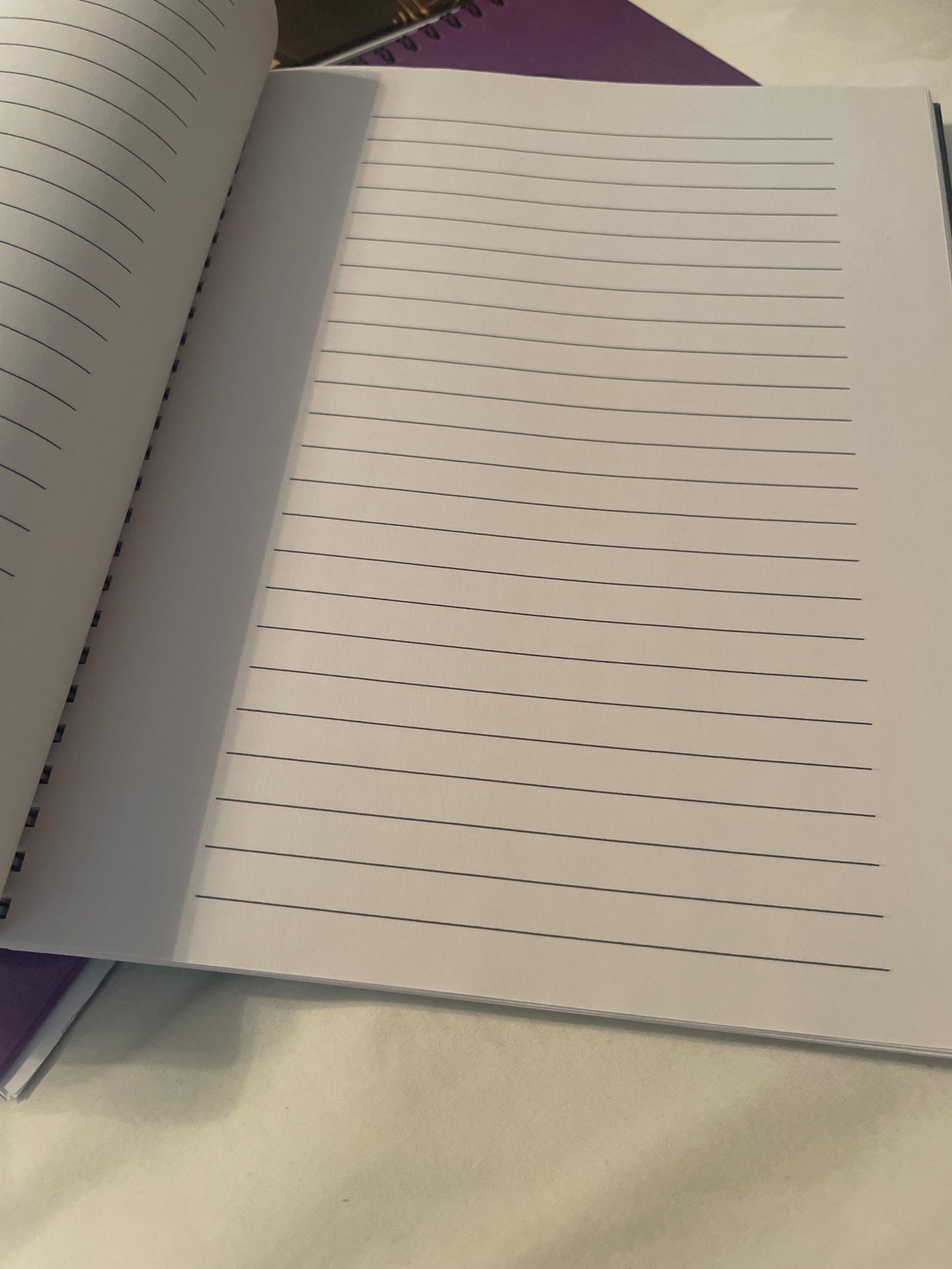 Monthly Budget and Manifestation Planner